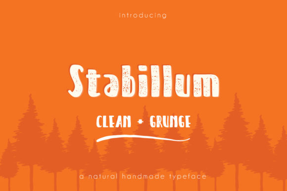 Stabillum: The Joyful Display Font for Campaign Visibility